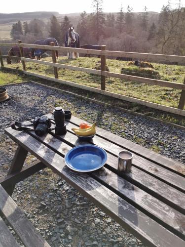 a wooden picnic table with a plate of fruit on it at Glamping Pod 2 Magical Craigengillan Estate in Dalmellington