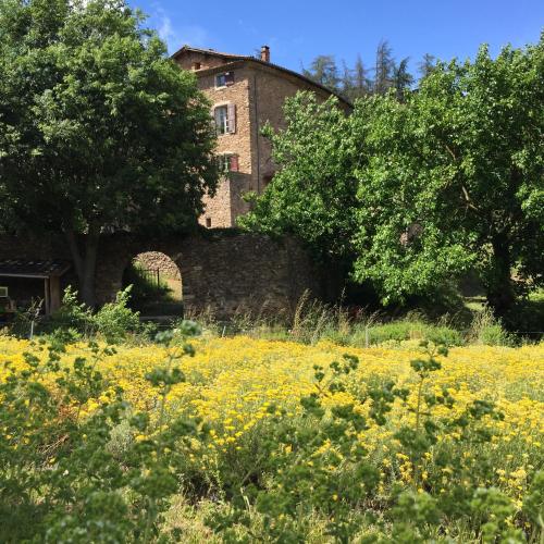 Κήπος έξω από το Ferme d'hôtes de Pouzes