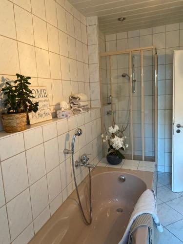 a bath tub with a shower in a bathroom at Ferienwohnung Luzi am Radweg Kanonenbahn in Küllstedt