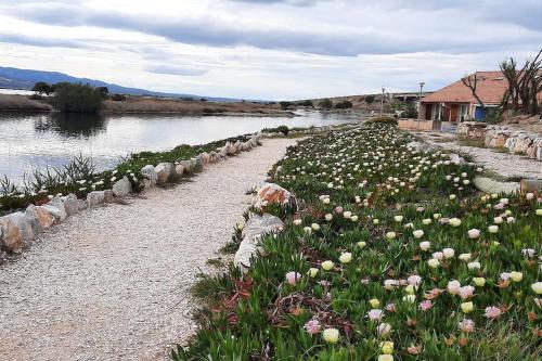 Photo de la galerie de l'établissement Maisonnette entre étang et plage, à Leucate