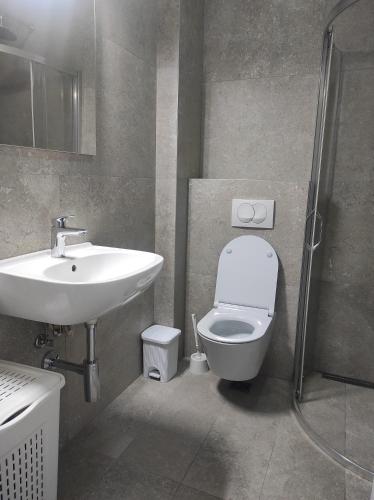 a bathroom with a sink and a toilet and a shower at Studio K in Podgorica