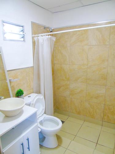 a bathroom with a toilet and a shower and a sink at Comodo y Practico departamento in La Rioja