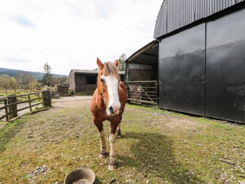 Waun Fforest – Photos 3