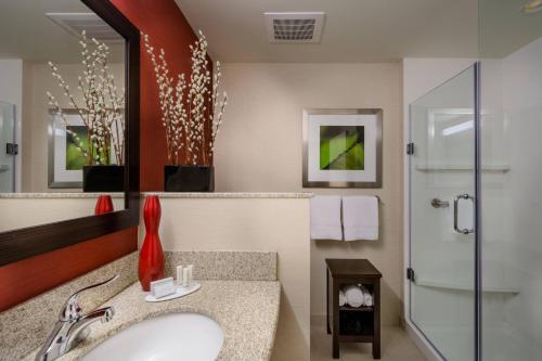 y baño con lavabo y ducha. en Courtyard by Marriott Charleston Downtown/Civic Center en Charleston