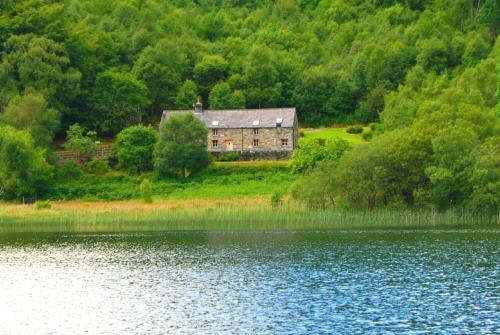 Ty Newydd