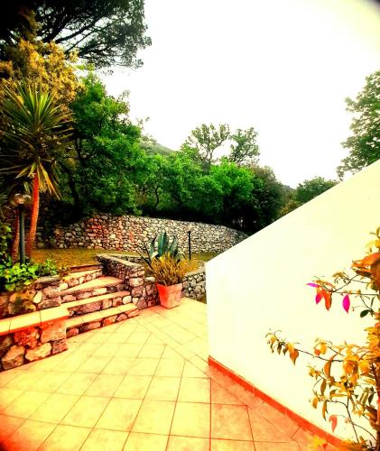 a garden with a stone wall and a patio at Il carrubo B&b in Maratea
