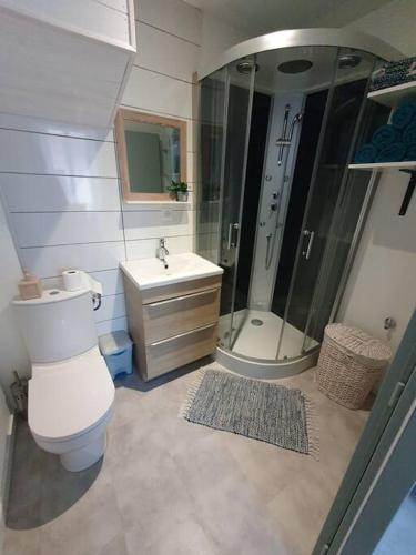 une salle de bain avec toilettes, douche et lavabo dans l'établissement Roanne centre, appartement refait à neuf., à Roanne