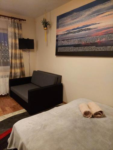 Φωτογραφία από το άλμπουμ του Apartament i pokoje u Roberta σε Polanczyk