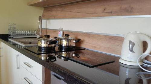 um balcão de cozinha com duas panelas no fogão em Apartament z widokiem na góry em Ząb
