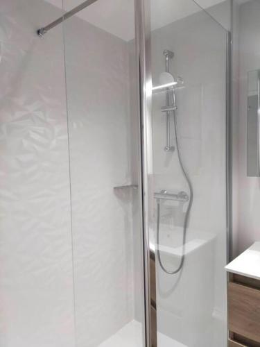 une douche avec une porte vitrée dans une salle de bain dans l'établissement Apt les luges pour 4 à 6 pers vue vallée wifi, à Besse-et-Saint-Anastaise