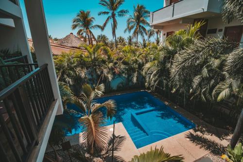 an overhead view of a swimming pool in a yard with palm trees at Punta Zicatela Hotel - Adults Only in Puerto Escondido