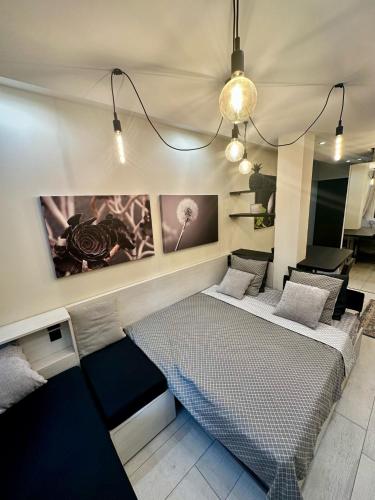 - 2 lits dans une chambre avec des photos sur le mur dans l'établissement Charmant Appartement port Lympia - NICE, à Nice