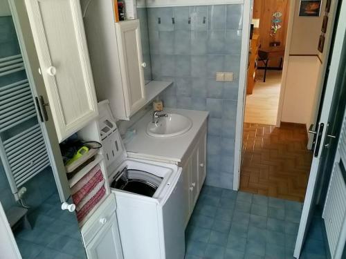 une petite salle de bain avec un lavabo et une douche dans l'établissement Maison 8 pers, 4chbr,140m2,piscine, à Notre-Dame-de-Mésage