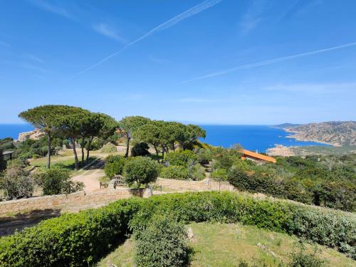 uma vista para um jardim com o oceano ao fundo em Villa Unica - Appartamenti Alba e Tramonto em Isola Rossa