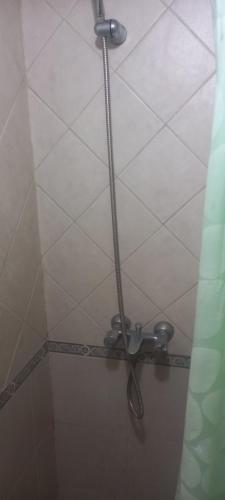 y baño con ducha y barra de metal. en Andinas Mendoza en Mendoza