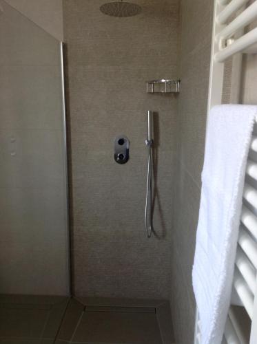 eine Dusche mit Glastür im Bad in der Unterkunft Appartamento La Betulla in San Giovanni in Marignano