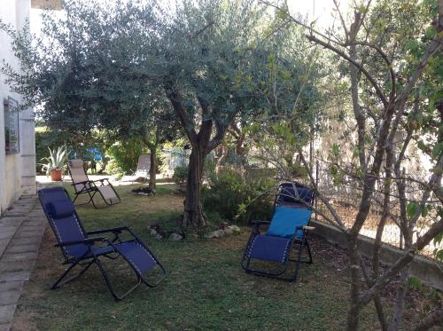 three chairs sitting in the grass under a tree at Appartamento La Betulla in San Giovanni in Marignano
