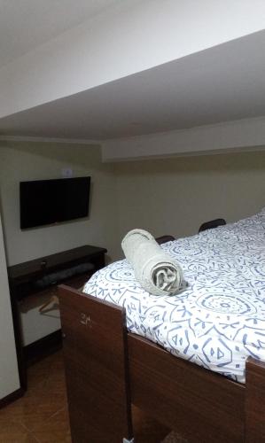 1 dormitorio con 1 cama y Tv LED en Loft/Apart Michel Iguazu en Puerto Iguazú