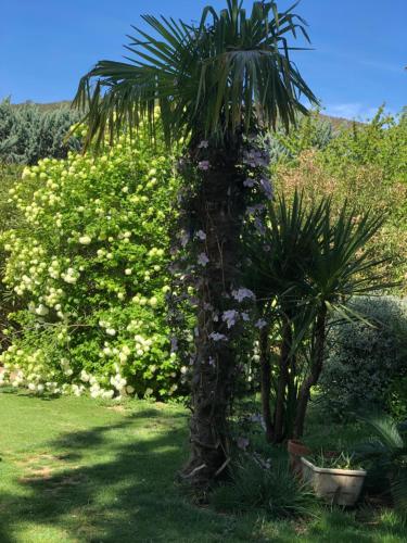 Un jardín fuera de Gites le Pimayon