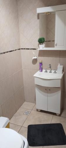 Ένα μπάνιο στο Apart hotel protomy tenemos piscina climatizada