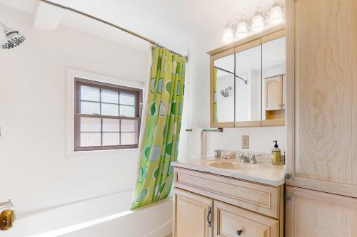 a bathroom with a sink and a shower curtain at Peace by Province Lake in Wakefield