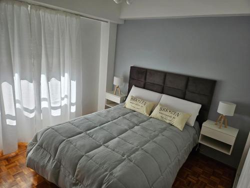 een slaapkamer met een groot bed met 2 kussens bij RECOLETA BS AS in Buenos Aires