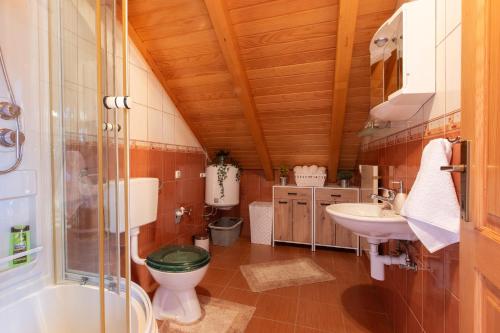 y baño con aseo y lavamanos. en Holiday house with a parking space Jasenak, Karlovac - 20579, en Jasenak