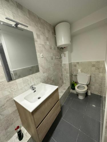 a bathroom with a sink and a toilet at Alojamiento Mediavilla in Madrid