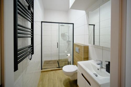a bathroom with a shower and a toilet and a sink at Urania Apartamenty in Kowary