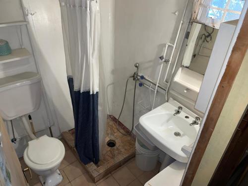 La petite salle de bains est pourvue de toilettes et d'un lavabo. dans l'établissement Cabaña de montaña estilo alpino con acceso a Río, à Río Blanco