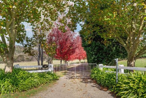 a white fence in front of a tree with red leaves at Glen Regan Berrima in Berrima