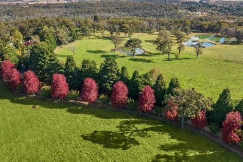 an aerial view of a park with colorful trees at Glen Regan Berrima in Berrima