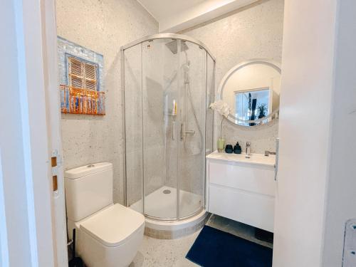 a bathroom with a shower and a toilet and a sink at T&T Homestay in Bègles