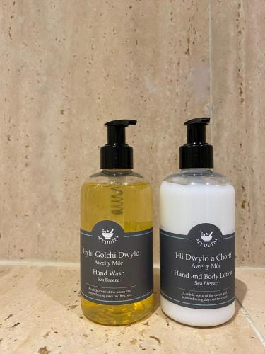 two bottles of disinfection wipes sitting next to each other at Hay On Wye Welsh Townhouse in Hay centre in Hay-on-Wye