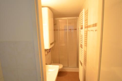 ザールバッハ・ヒンターグレムにあるAppartement Monikaのバスルーム(シャワー、トイレ付)