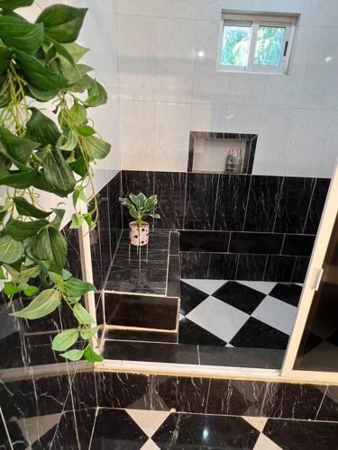 a bathroom with a black and white tiled floor with plants at Acogedor y colorido estudio con cama King Size in Mérida