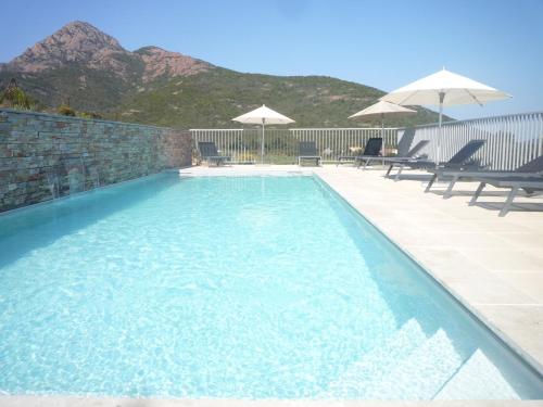 une piscine avec chaises et parasols sur un patio dans l'établissement Appartements Candella, à Galéria