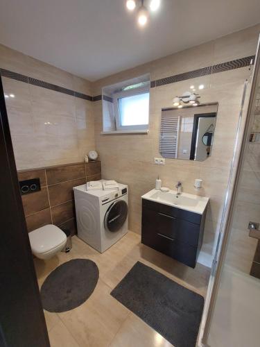 a bathroom with a sink and a washing machine at Frašták apartment in Hlohovec