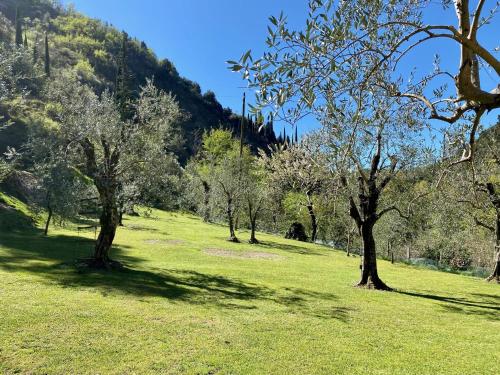 un campo de césped verde con árboles y una montaña en Casa Lume en Toscolano Maderno