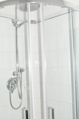 La salle de bains est pourvue d'une douche avec une porte en verre. dans l'établissement APPARTAMENTO IRANJA NEST, à Florence