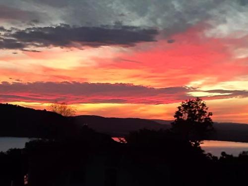 a sunset over a body of water with a tree at kleines Landhaus Bodensee in Überlingen
