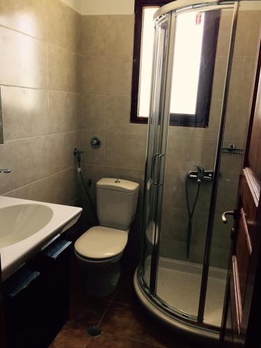 a bathroom with a toilet and a shower and a sink at Marigoula Village in Skopelos Town