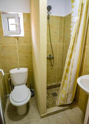 a bathroom with a toilet and a shower at Casa Bibi in 2 Mai