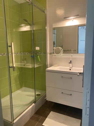 un bagno con doccia in vetro e lavandino di Superbe Appartement Superbe Vue Océan a Biscarrosse