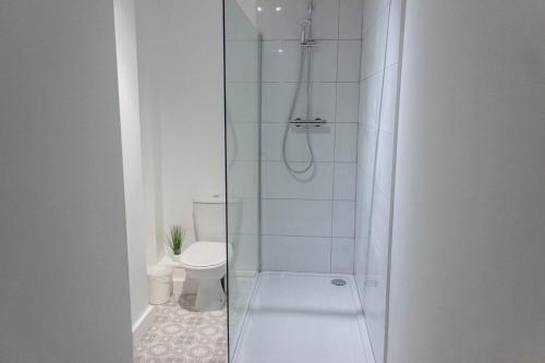 a bathroom with a shower with a toilet at Cozy and Modern 2-bed apartment in Swansea