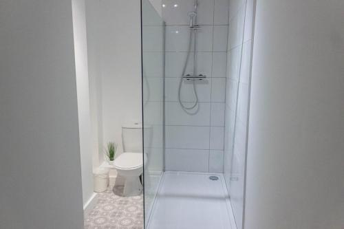La salle de bains est pourvue d'une douche et de toilettes. dans l'établissement Cozy and Modern 2-bed apartment, à Swansea