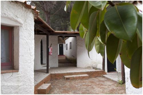 Gallery image of Camping Baia Saraceno in Palau