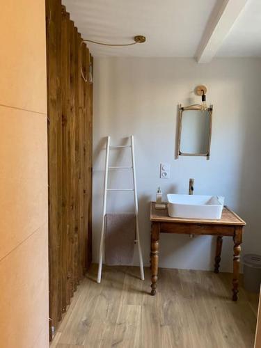 La salle de bains est pourvue d'un lavabo, d'un miroir et d'une échelle. dans l'établissement La Pampa, à Nîmes