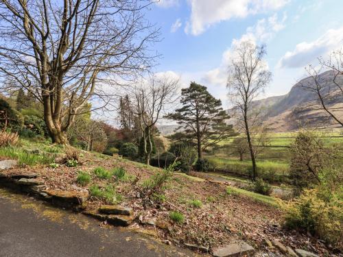 a road in a field with trees and mountains at Rawfell in Ambleside