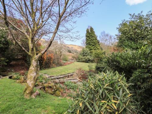 a garden with a tree and a pile of logs at Rawfell in Ambleside